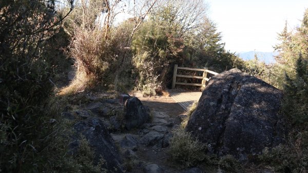 東埔山登山健行趣(中級山)2031814