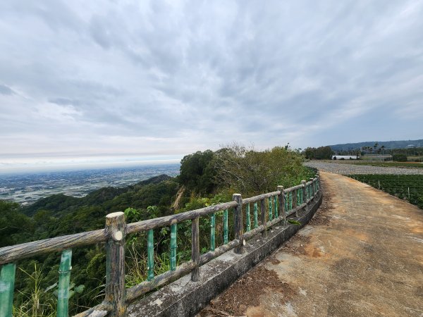 20250223田中大小劍與橫山2939838