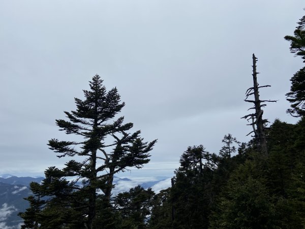 20230515-16玉山前西峰+遠望雨中的主東北2436658