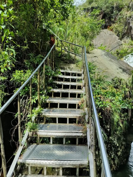 1131017猴洞坑溪步道3100082