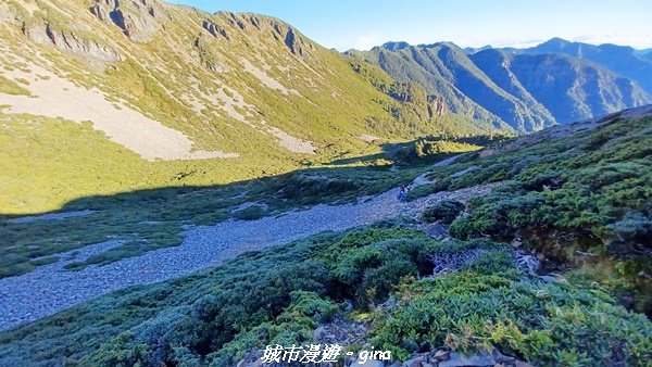 【台中和平】山迢路遠換壯闊山景。 No75百岳雪山東峰xNo2百岳雪山主峰 (兩天兩夜)2347681
