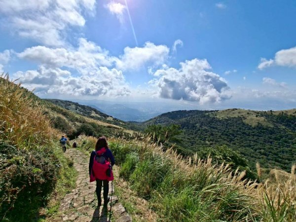 【臺北大縱走 2】【第二回合全程完成證書】鞍部→大屯山步道→大屯山主峰→大屯坪步道→二子坪步道2960336