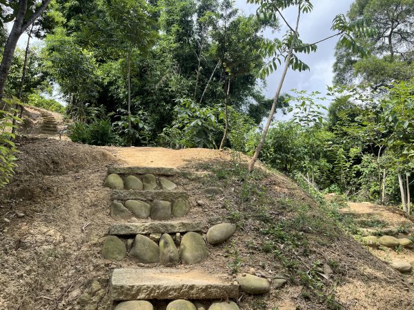 [皮皮獅探險隊-03/10] 2025_0706 犁頭山、文山步道2831469