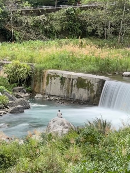 清泉 雪霸農場 野馬瞰山2925855