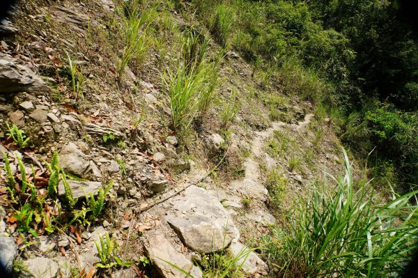 新北 烏來 波露南山3035999