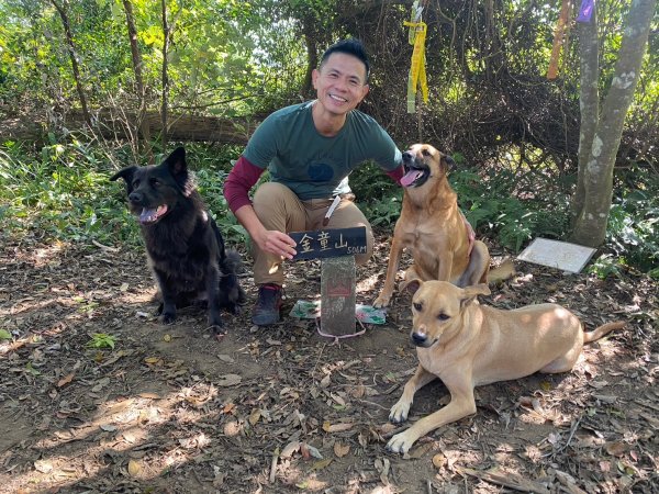 金童山.汶水山.玉女山【冬天的郊山縱走=高山等級的享受】2680941