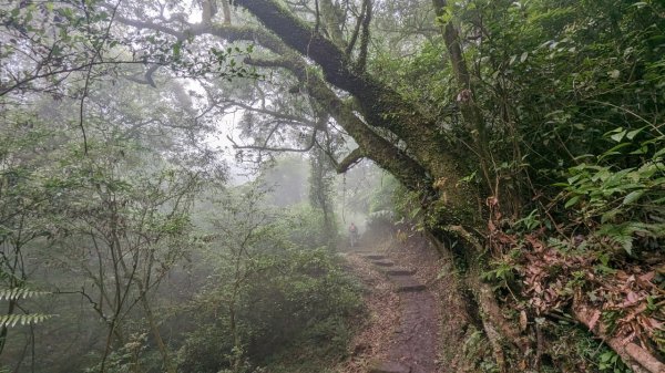 112.06.03風櫃嘴-頂山-石梯嶺-擎天崗東峰-頂山西南峰2172370