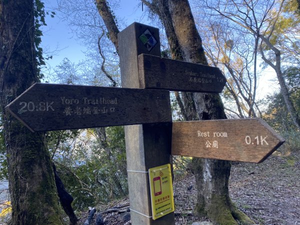 《走進百年前的山林｜霞喀羅古道22K縱走．一條被歷史刻下痕跡的路》3029909