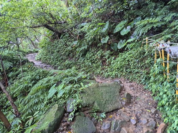 桃園石門山步道3111731