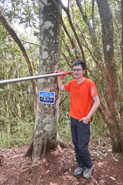 中級山-高島縱走2888370