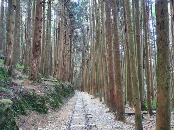 特富野古道1303981