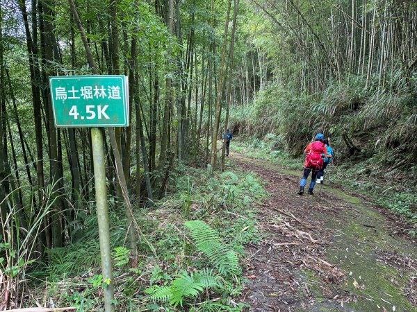 米堤走烏土堀林道到金柑樹山再到杉林溪天地眼2319348