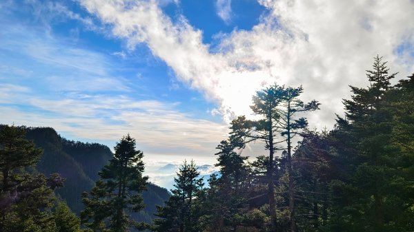 玉山北/西峰（排雲雲海/夕陽/下雨）1496187