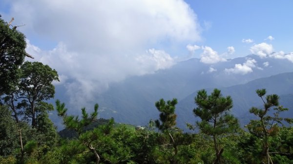 觀霧森林雲霧步道2290341