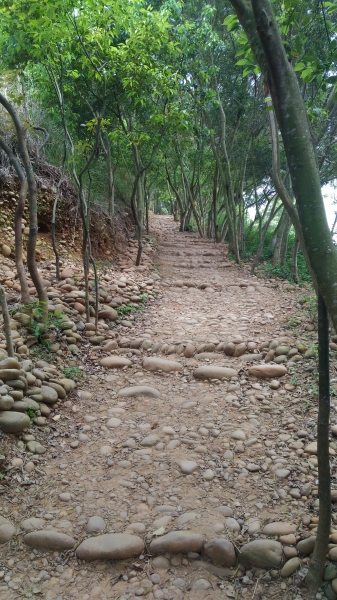 清水-鰲峰山公園44823