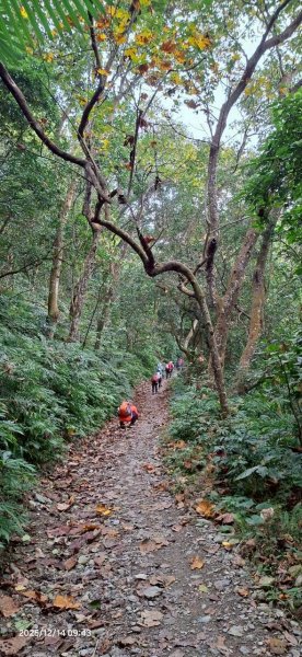 🌈12/14(日)南部最佳百岳練習場~小百岳-尾寮山✨FB：熊熊趴爬走🌈2961688