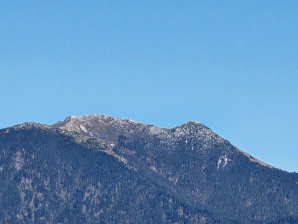 大雪山國家森林遊樂區賞楓／看神木／賞雪白山頭／賞大景2974279