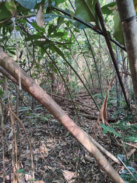 2024.02.17 關西金山2845306