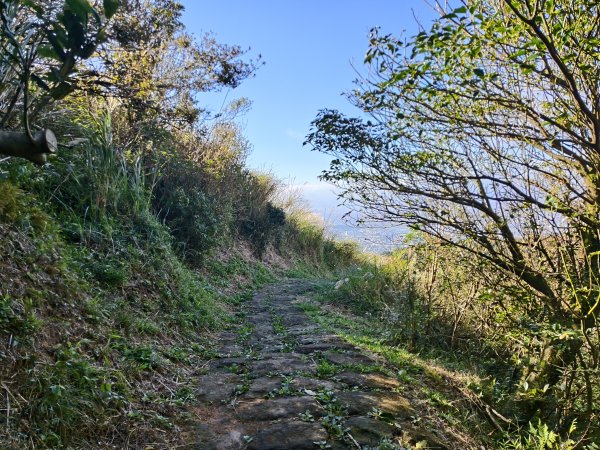 [百山百鳥尋旅-11/15] 2025_0927 大屯主峰-連峰步道_大屯山南峰2899343