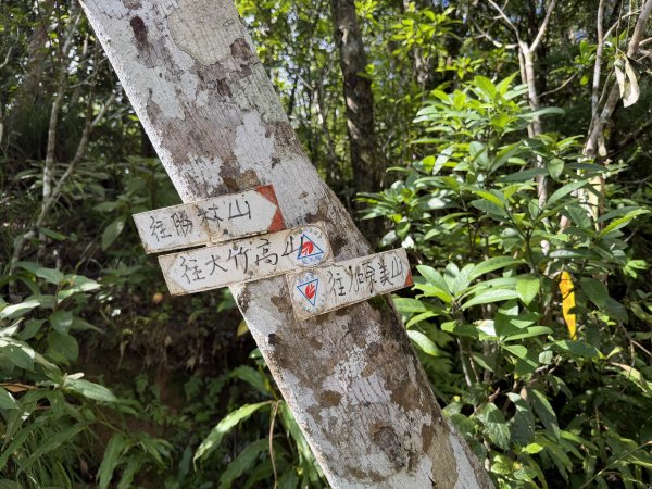 加奈美山 (開車富南上至2K水泥路尾起登)202609063118755
