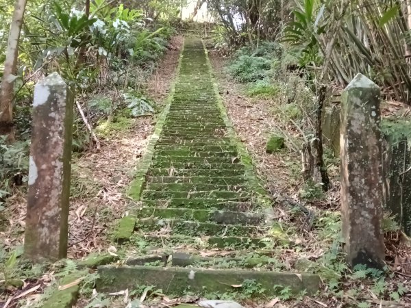 雙溪區聖南寺朝山古道+大竹林山(未果)2963572