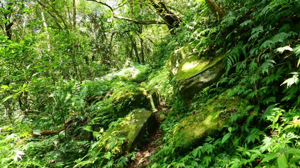 大湖尾,溪尾寮,藤寮坑古道2877517