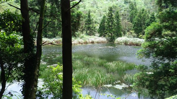 醉在.......如夢似幻138163