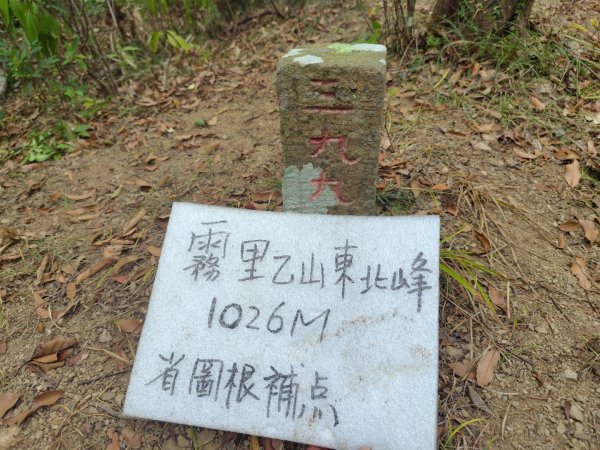 白藍狐貍出狐貍尾/狐貍縱走2796374
