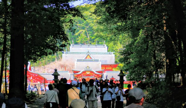 鹿兒島霧島神宮,神水峽3028245