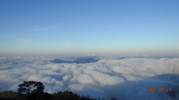 最高小百岳-大塔山2663M&阿里山二延平步道1775016