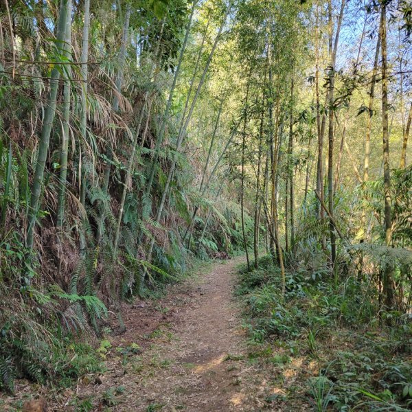 集集大山、車埕步道（小百岳）1628778