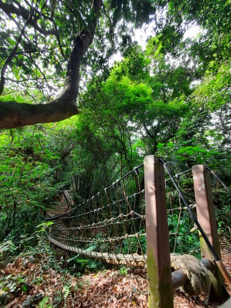 《彰化》桃源里森林步道、龍鳳谷森林步道1047484