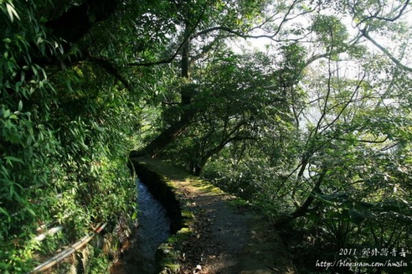 【路線】夏日古道之旅  水圳古道