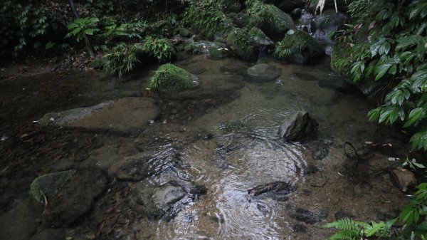 雙石縱走登山健行趣(小百岳24號&25號)2169518