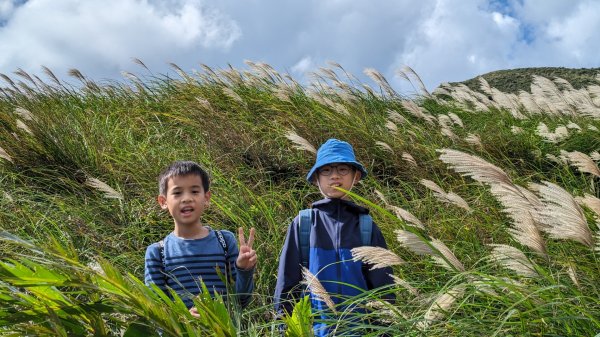 草嶺古道 灣坑頭山2357518