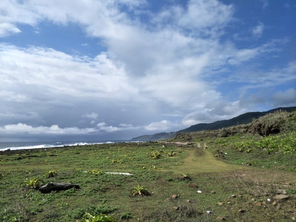 九棚草原-海岸1346348