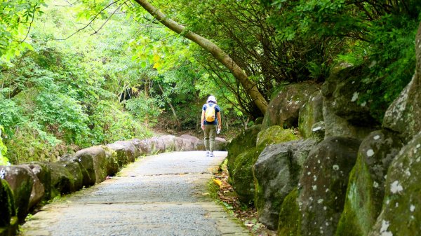 白石湖沒有百合花。晶片關稅2781571