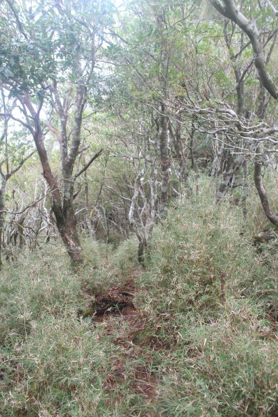 20240210高雄斯拉巴庫山2431612