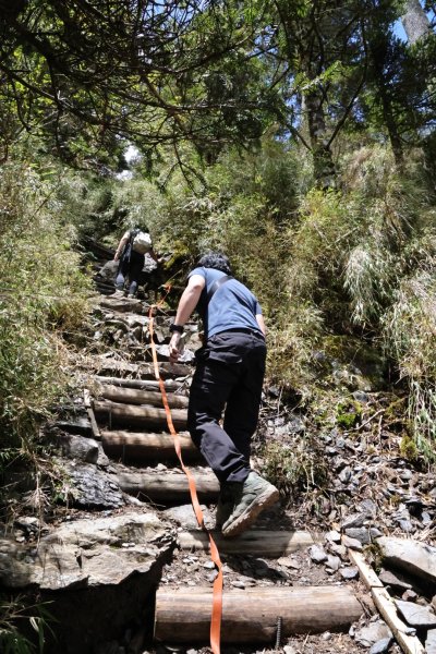 八通關古道X玉山前峰-年輕人爬山趣封面