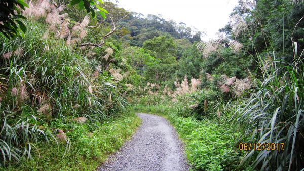 礁溪 - 聖母步道  煙雨故人來 ... 222693