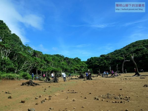 【台東】大天池步道-青青草原