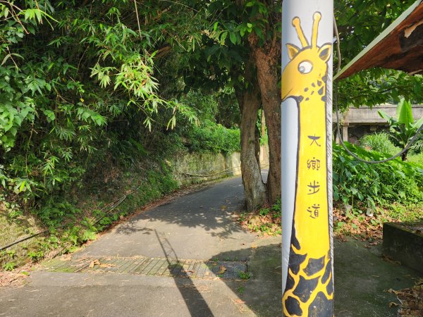 樹杞林山｜竹東森林公園步道×大鄉自然步道3060541