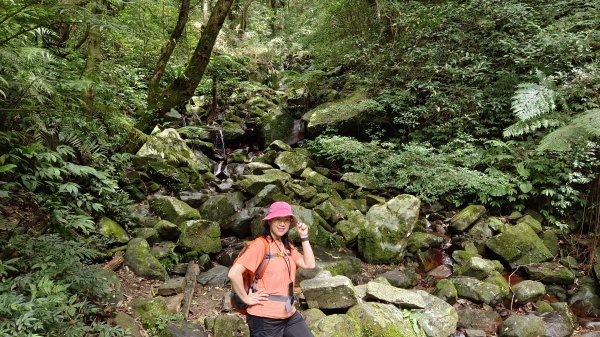 (姨婆趴趴走)第十六集:東滿步道，台灣百大必訪步道2220533