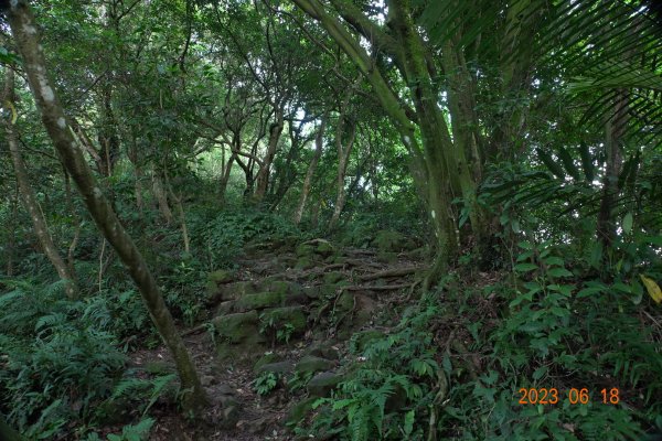 桃園 龍潭 石門山、太平山、清水坑山2189017