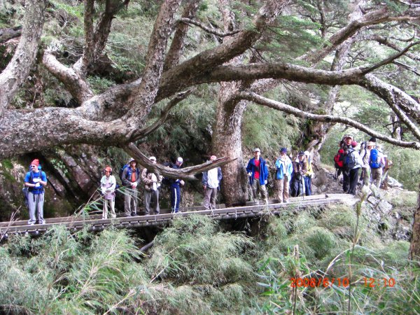 玉山暨阿里山之旅200806091954481