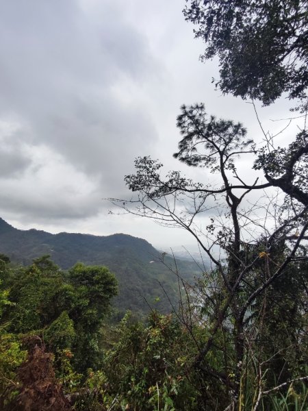 天上山雨中漫步2643231