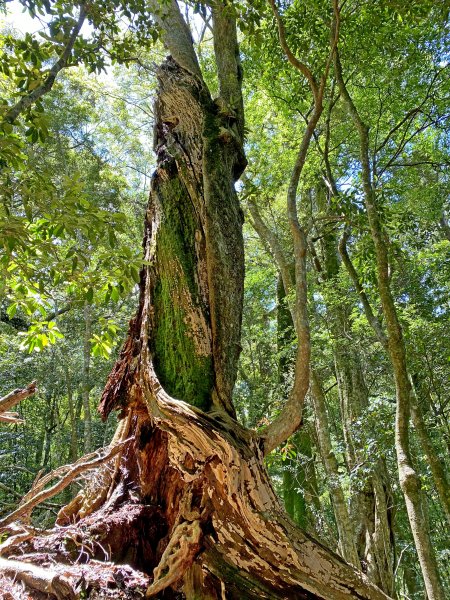 石山秀湖夢幻仙境悠遊行1013475