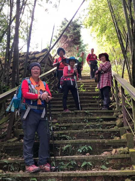 【雲嘉茶園之美】後棟山連走大二尖山1532241