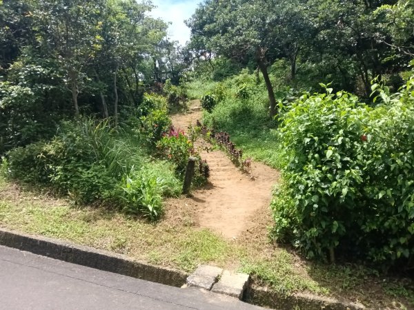 瑞芳區長青早起會觀景+碧峰岩步道2853995