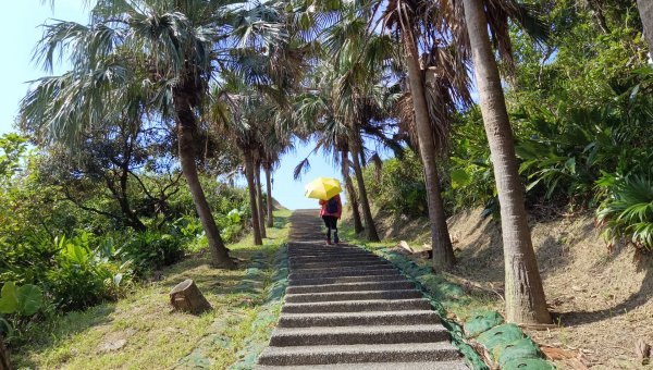 (姨婆趴趴走)第二十集:基隆望幽谷、潮境公園、八斗子輕鬆行2251946